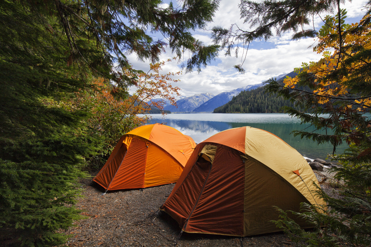 two tents in the forest